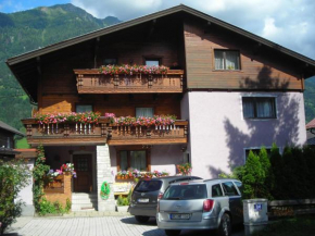 Apartments in Bad Hofgastein/Salzburger Land 161, Taxenbach, Österreich